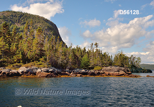 Terra Nova National Park, Newfoundland